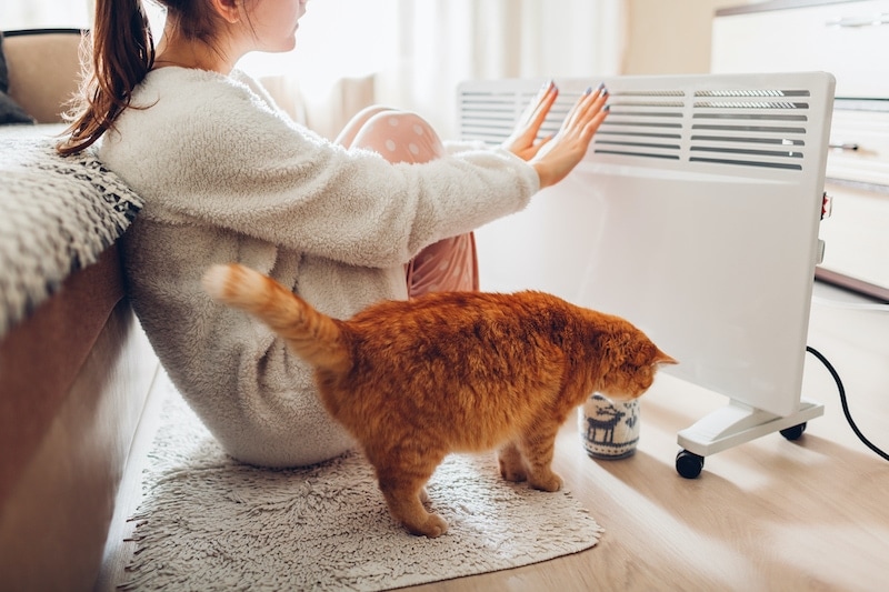 Using heater at home in winter. Woman warming her hands sitting by device with cat and wearing warm clothes. Heating season. (Using heater at home in winter. Woman warming her hands sitting by device with cat and wearing warm clothes. Heating season.